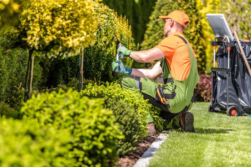 A&T Lawn & Shrub | Lawn Care, Lawn Maintenance, & Landscaping Services for Lancaster, SC